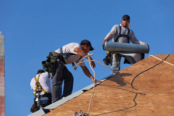Best Roof Gutter Cleaning  in Meadows Place, TX